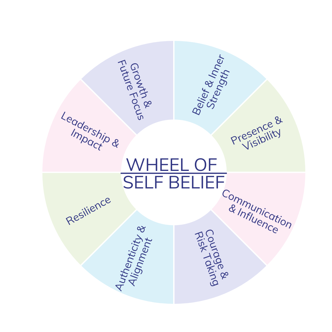Wheel of Self-Belief (2)